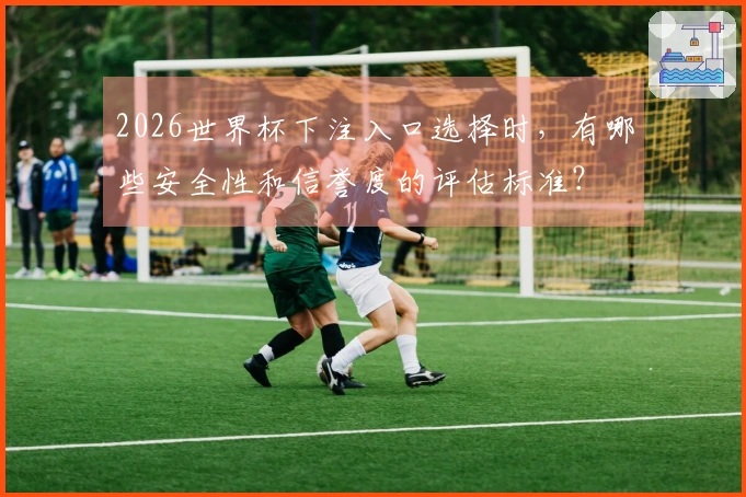 2026世界杯下注入口选择时，有哪些安全性和信誉度的评估标准？