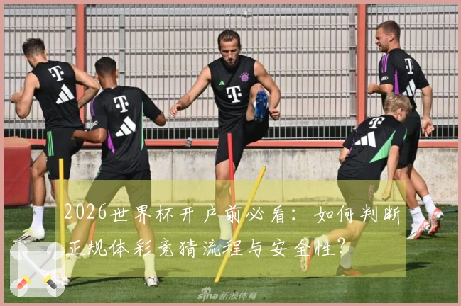 2026世界杯开户前必看：如何判断正规体彩竞猜流程与安全性？