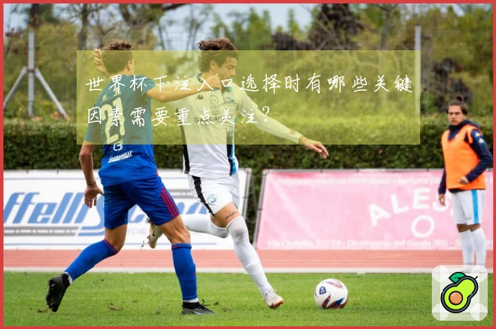 世界杯下注入口选择时有哪些关键因素需要重点关注？