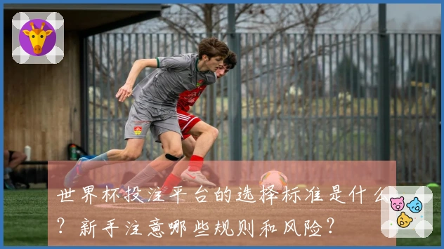 世界杯投注平台的选择标准是什么？新手注意哪些规则和风险？